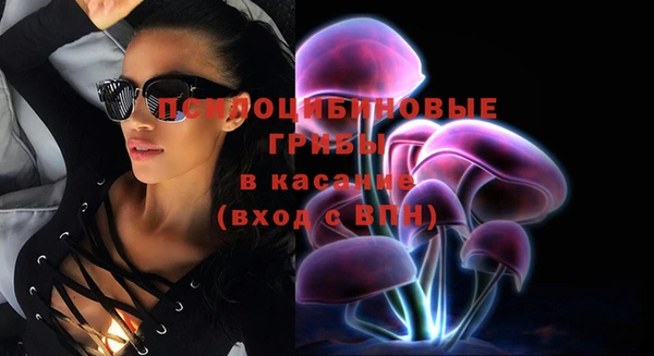 амф Переславль-Залесский