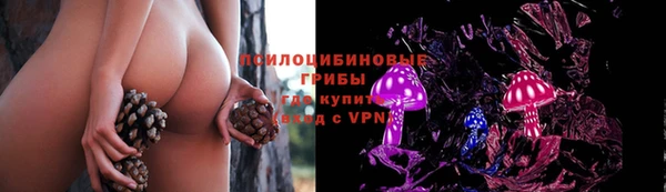 ECSTASY Покровск