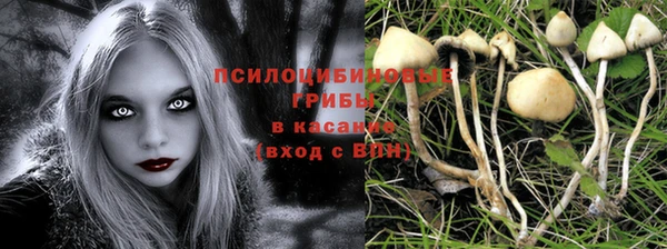 гидропоника Пестово