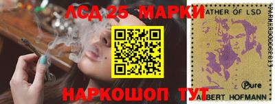 spice Гатчина