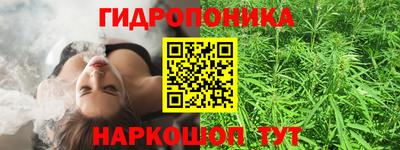 дурь Гагарин