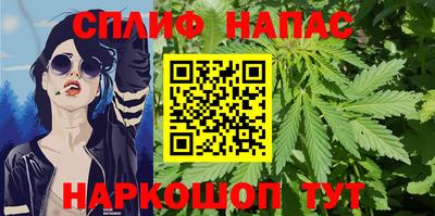 spice Гатчина