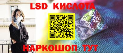 spice Гатчина