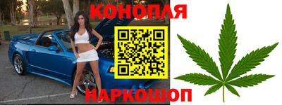 spice Гатчина