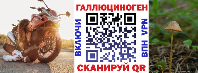 Псилоцибиновые грибы Magic Shrooms Заводоуковск