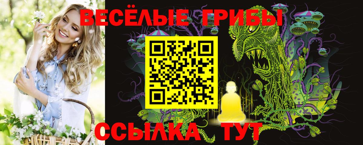Заводоуковск  Псилоцибиновые грибы MAGIC MUSHROOMS  Вход с VPN  Галлюциногенные грибы Psilocybine cubensis 